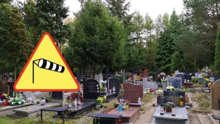 Silny wiatr w Trójmieście. Apel do odwiedzających cmentarze o zmianę planów