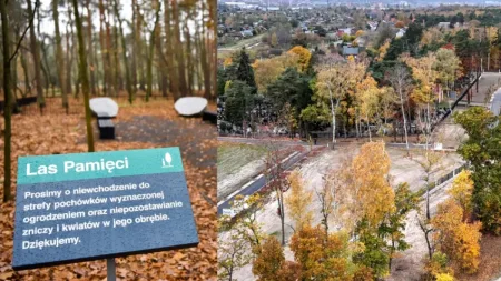 Gdański cmentarz się powiększył. Będzie też las pamięci