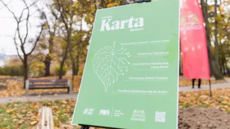 Walczą o ochronę miejskich drzew przed wycinką. Zaopiniuj Gdańską Kartę dla Drzew