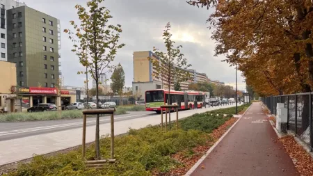 Przymorze Wielkie i Stogi. Kto kandyduje do Rady Dzielnicy i kiedy odbędą się wybory?