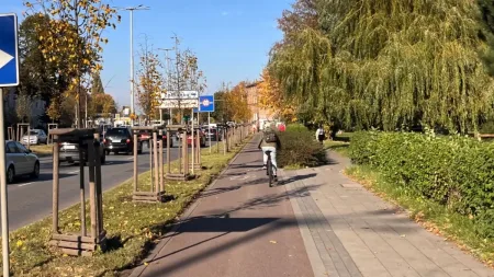 Ochrona zieleni podczas inwestycji. Sprawdzamy standardy Gdańskiej Karty dla Drzew