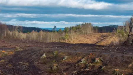 Jutro rusza budowa obwodnicy Witomina. Będą utrudnienia w ruchu