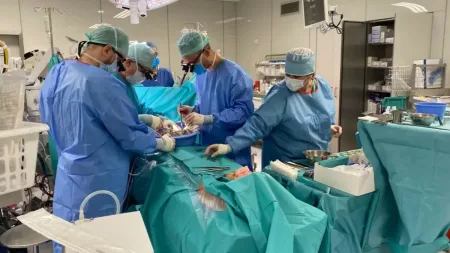 Od czterech lat jesteśmy w czołówce w transplantacjach. Skąd tak wysoki wynik?