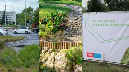 Gdańskie ogrody deszczowe docenione na świecie. Zielona retencja z wyróżnieniem