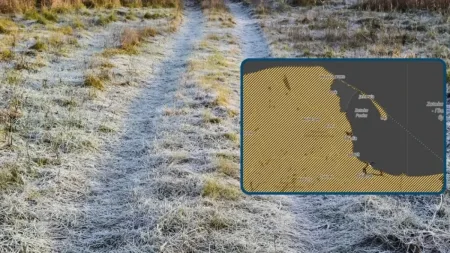 Przymrozki w Trójmieście. IMGW ostrzega mieszkańców