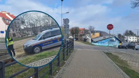 Zatrzymał się na rowerze, ale nie dotknął stopą ziemi. Straż Miejska ukarała go mandatem