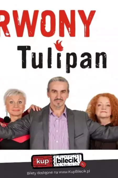 Czerwony Tulipan - Promocja Płyty "Nasz Miszmasz"
