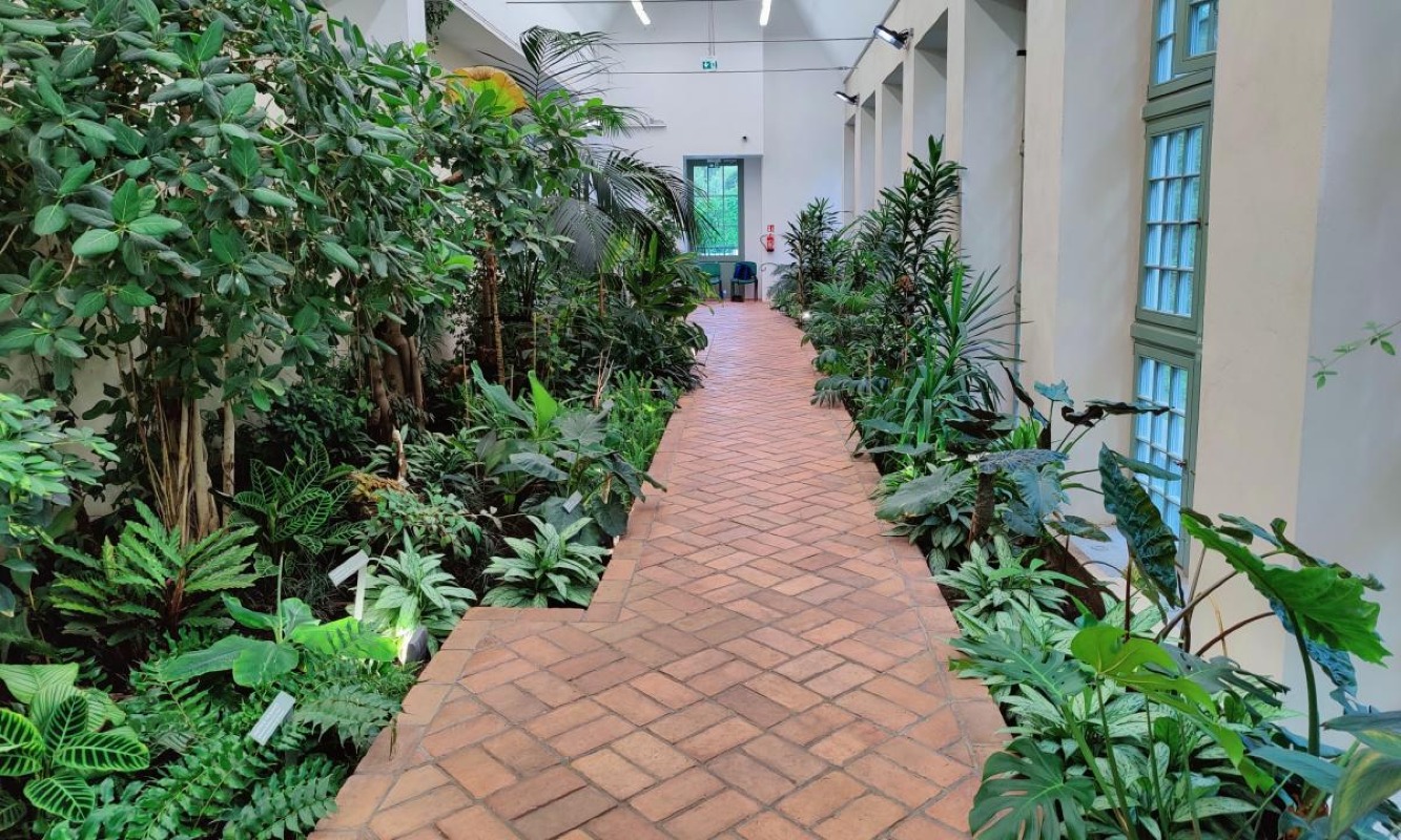 Palmiarnia w Parku Oliwskim