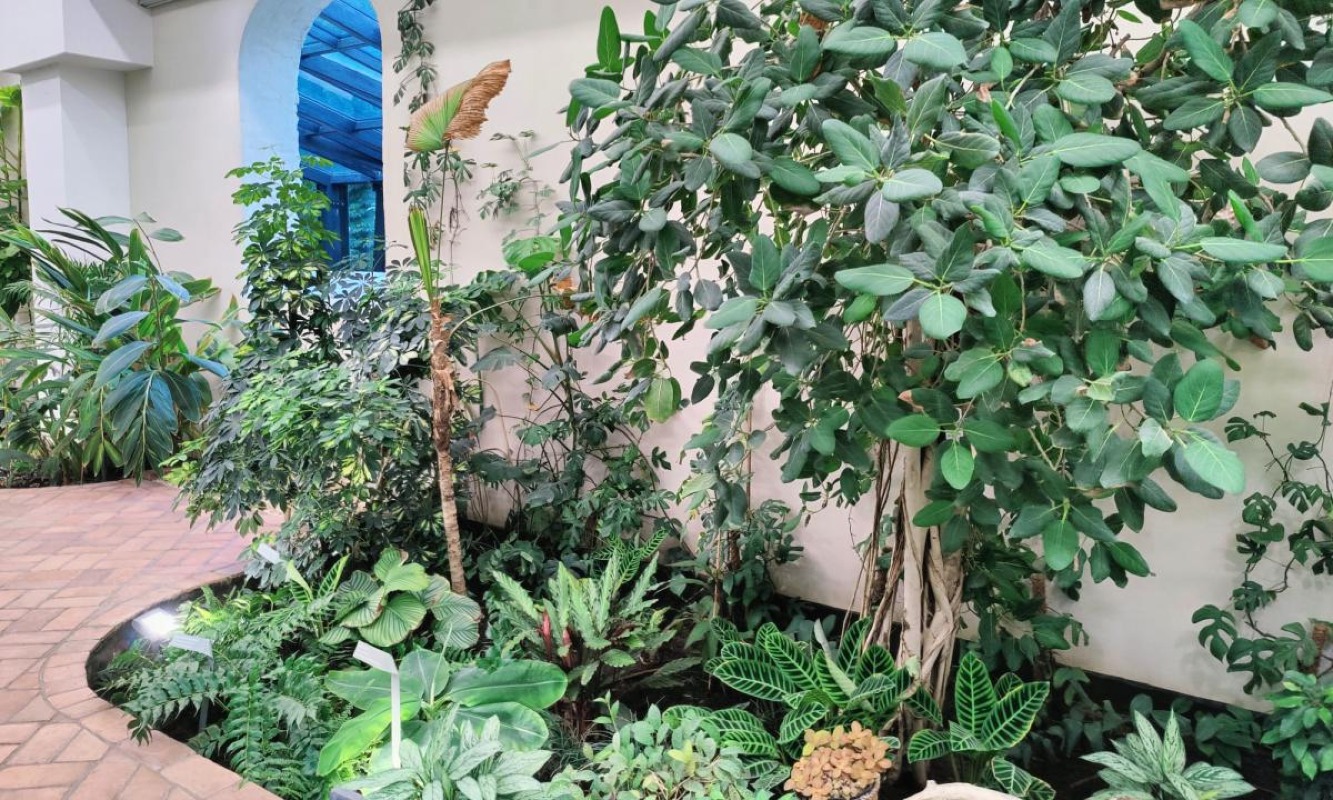 Palmiarnia w Parku Oliwskim