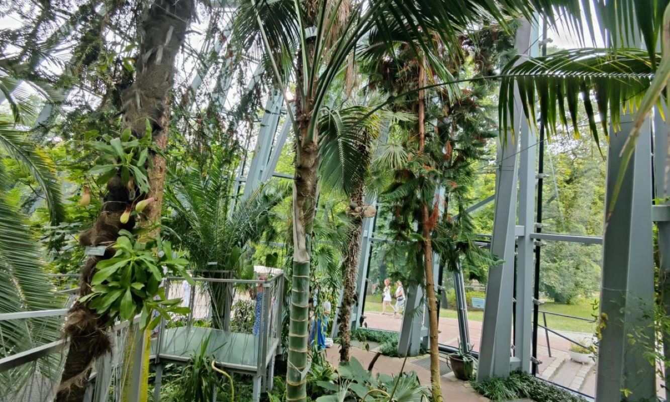 Palmiarnia w Parku Oliwskim