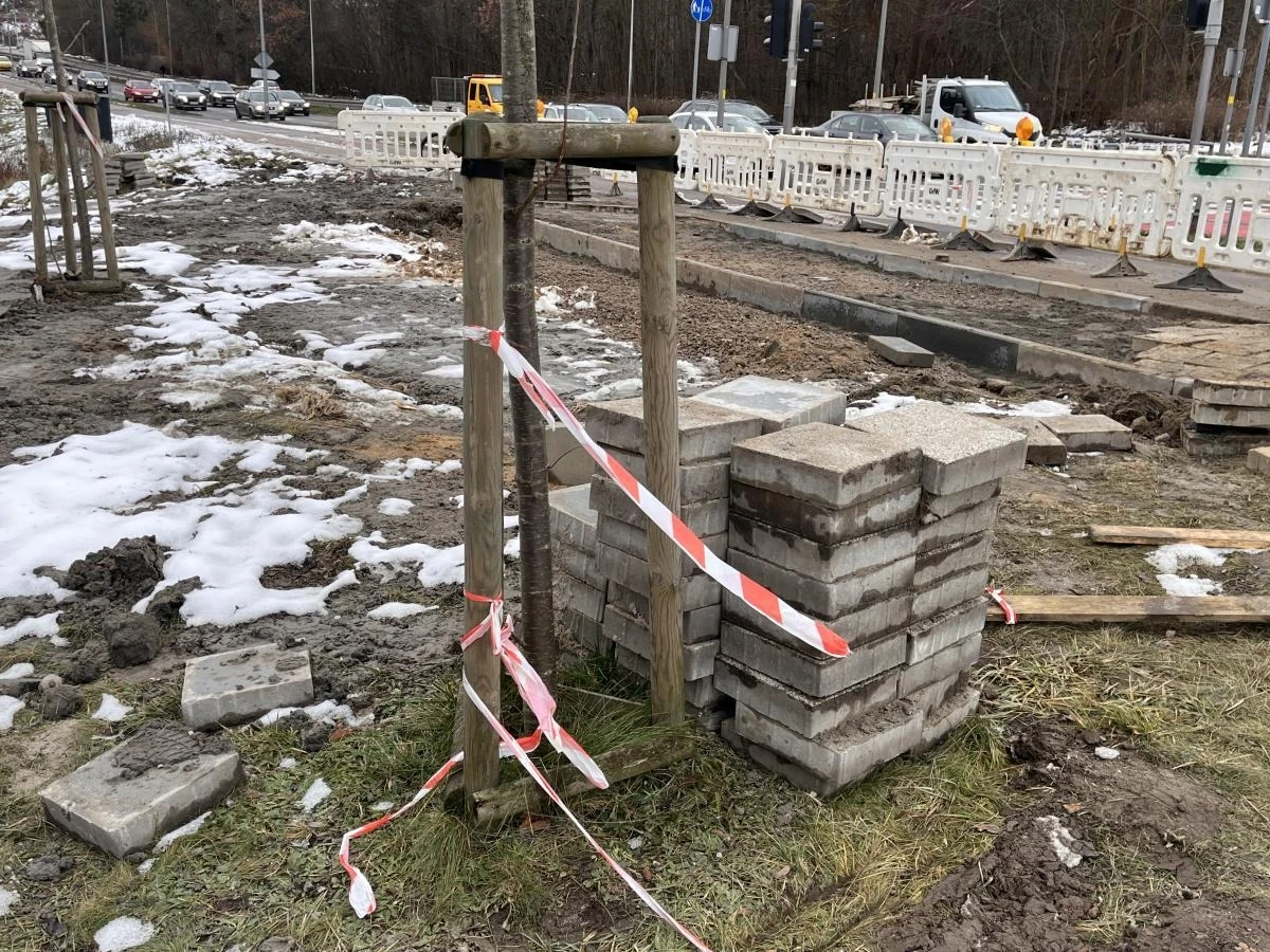 Składowanie materiałów budowlanych tuż przy kilkuletnim nasadzeniu, fot. Igor Dorawa